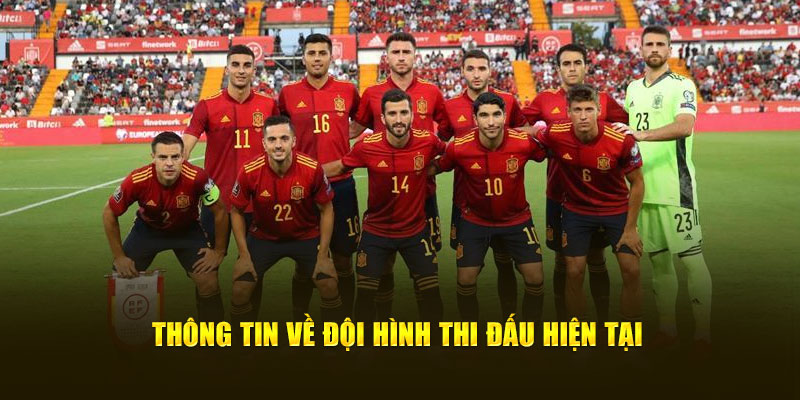 Thông tin về đội hình thi đấu hiện tại