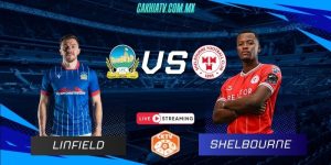 Nhận định Linfield vs Shelbourne, 01h45 ngày 17/7
